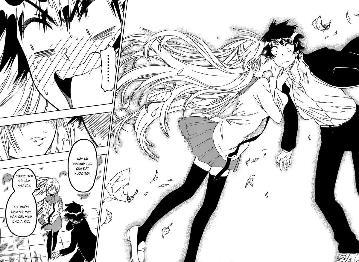 Nisekoi Chapter 138 - Trang 18