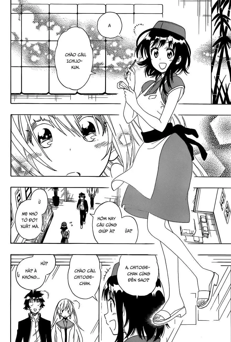 Nisekoi Chapter 138 - Trang 4