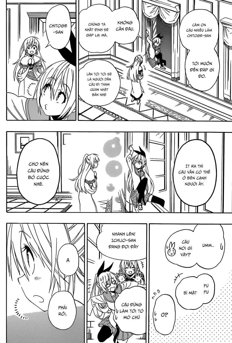 Nisekoi Chapter 139 - Trang 11