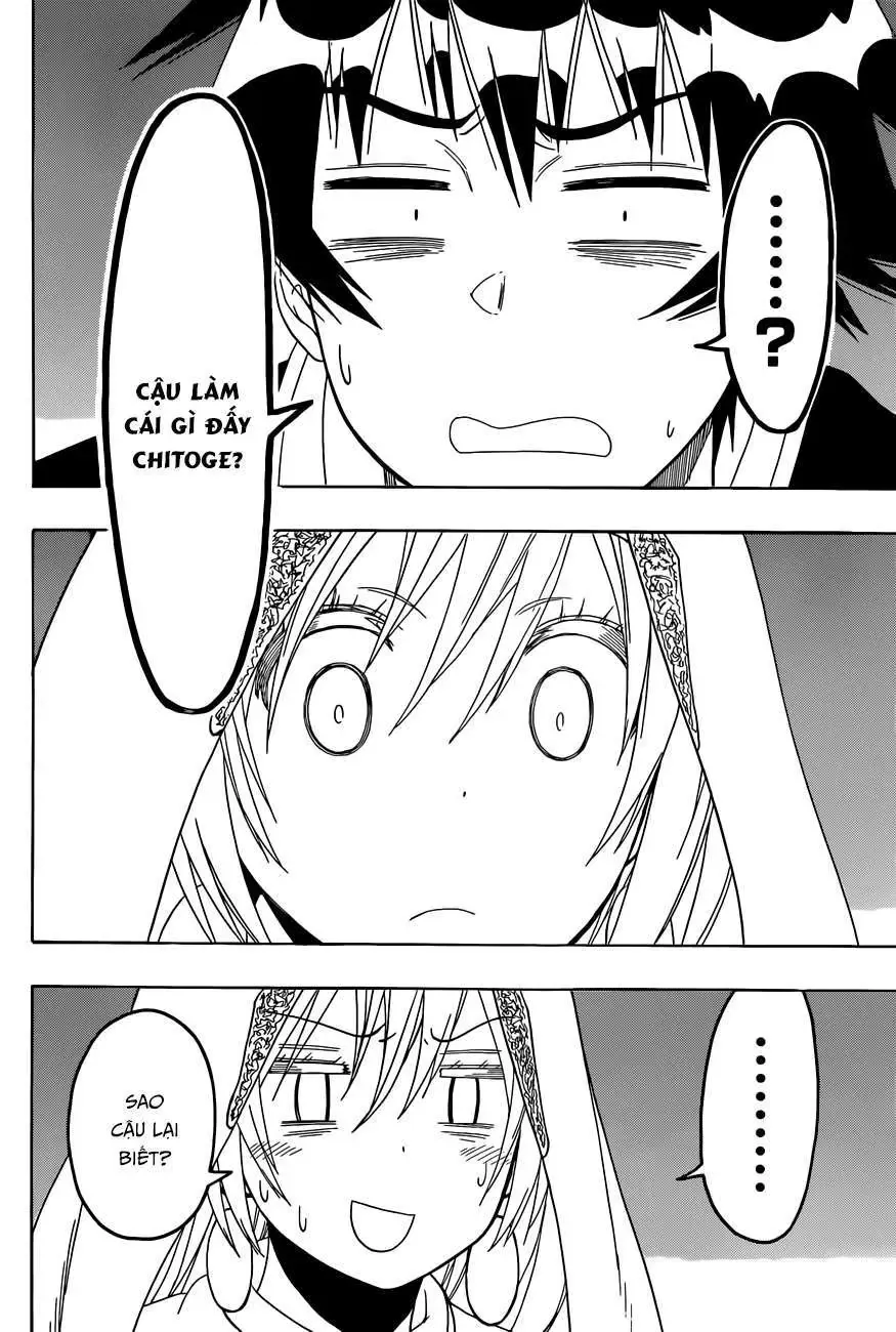Nisekoi Chapter 139 - Trang 13