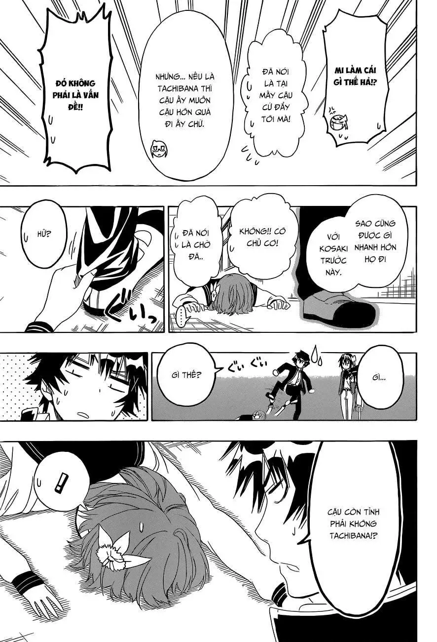 Nisekoi Chapter 140 - Trang 16
