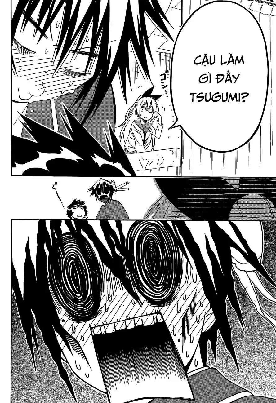 Nisekoi Chapter 140 - Trang 21