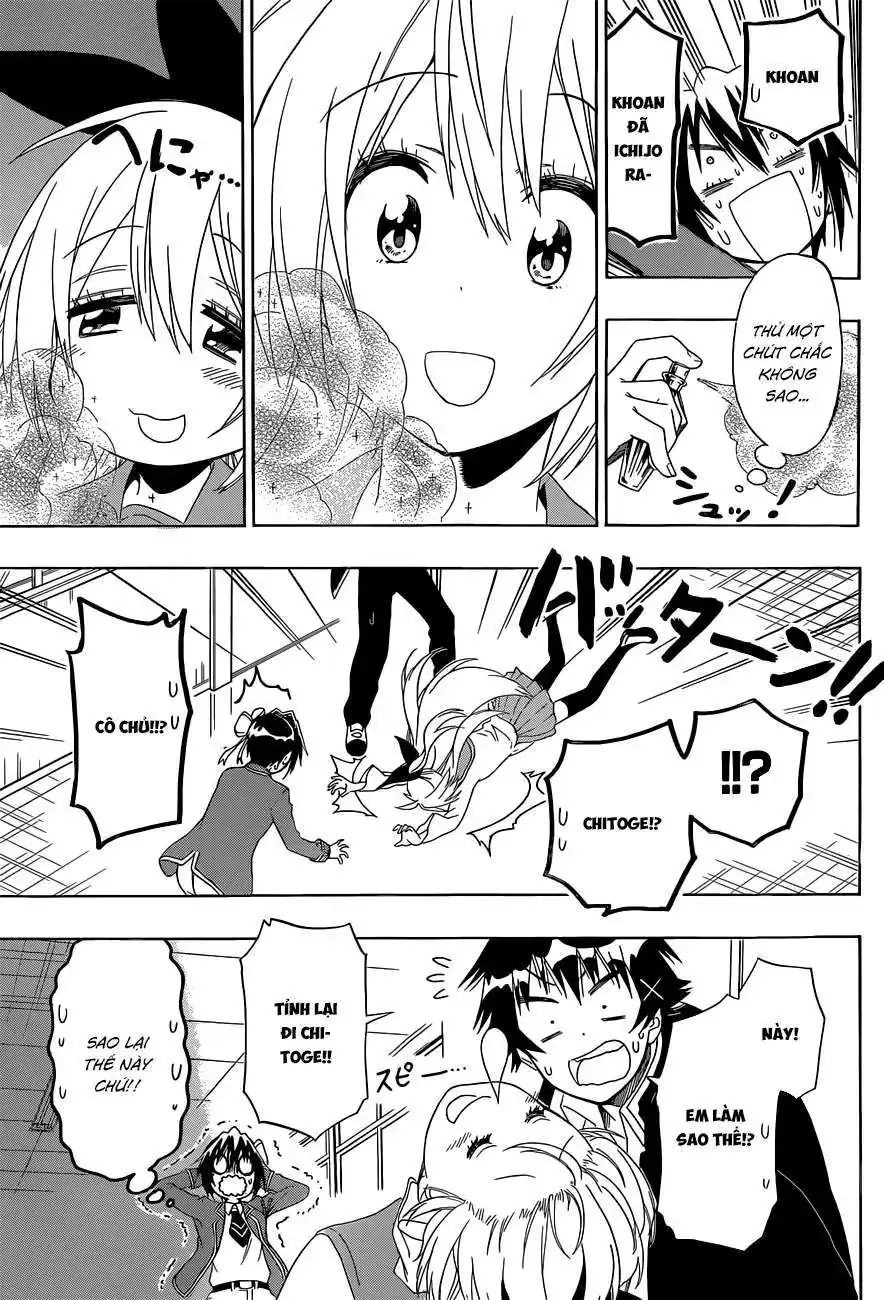 Nisekoi Chapter 140 - Trang 8