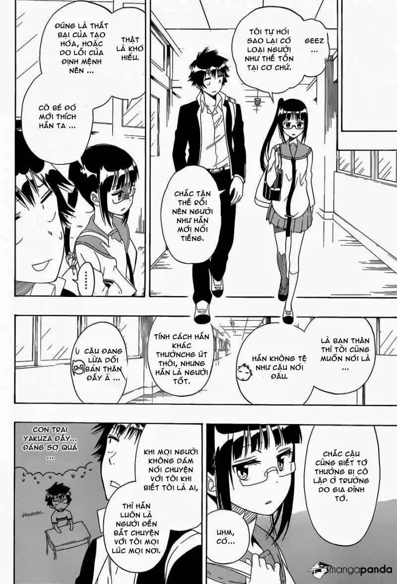 Nisekoi Chapter 141 - Trang 11