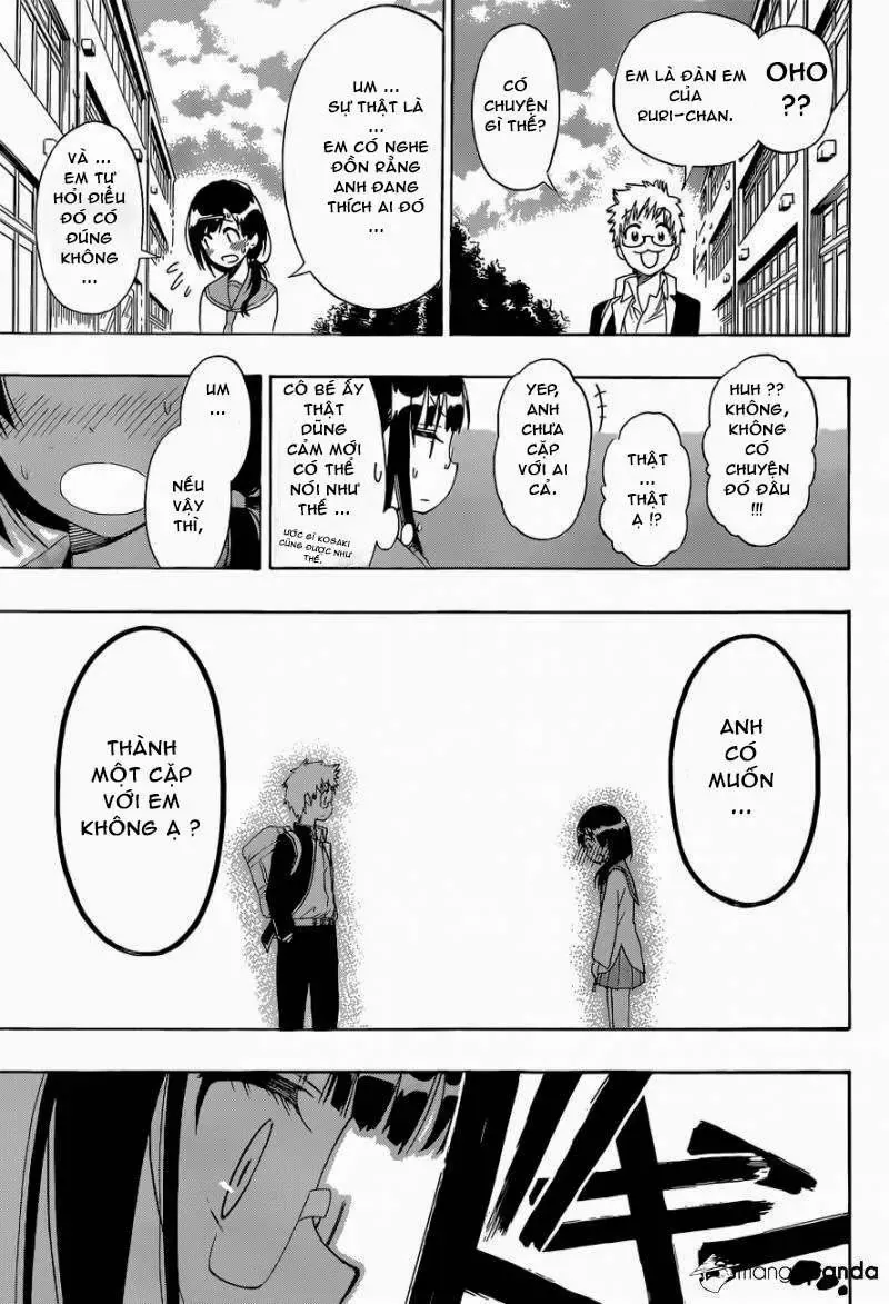 Nisekoi Chapter 141 - Trang 14
