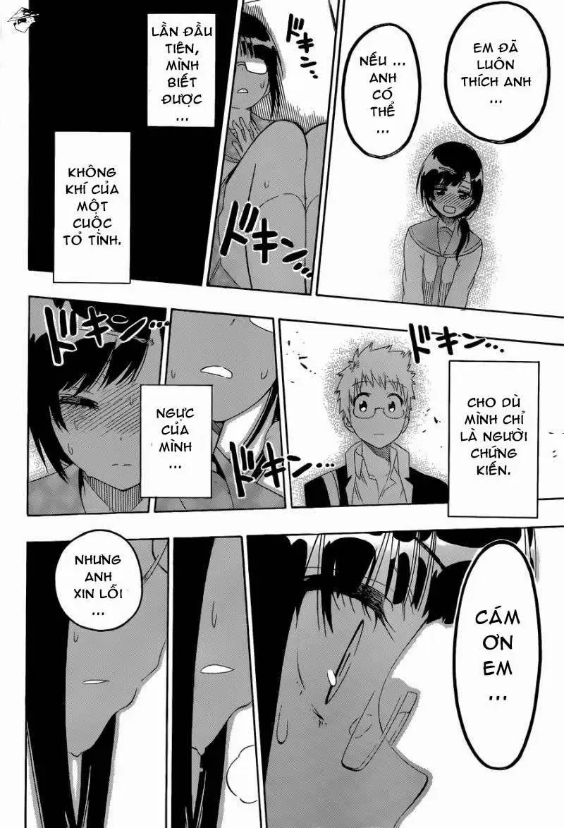 Nisekoi Chapter 141 - Trang 15