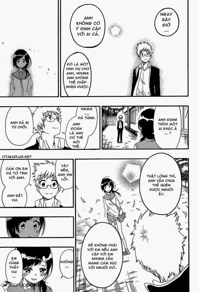 Nisekoi Chapter 141 - Trang 16