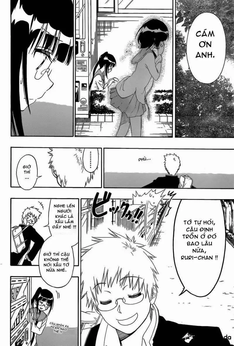Nisekoi Chapter 141 - Trang 17
