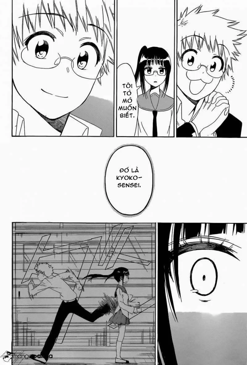 Nisekoi Chapter 141 - Trang 19