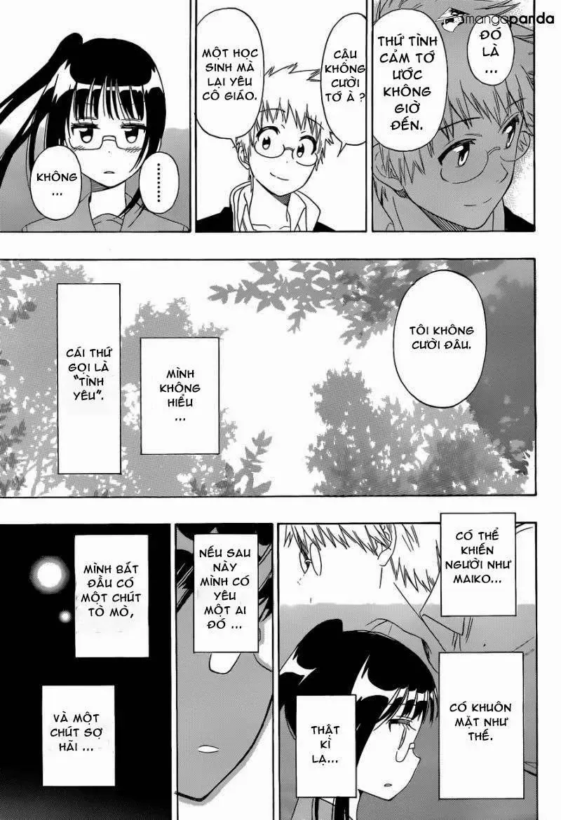 Nisekoi Chapter 141 - Trang 20