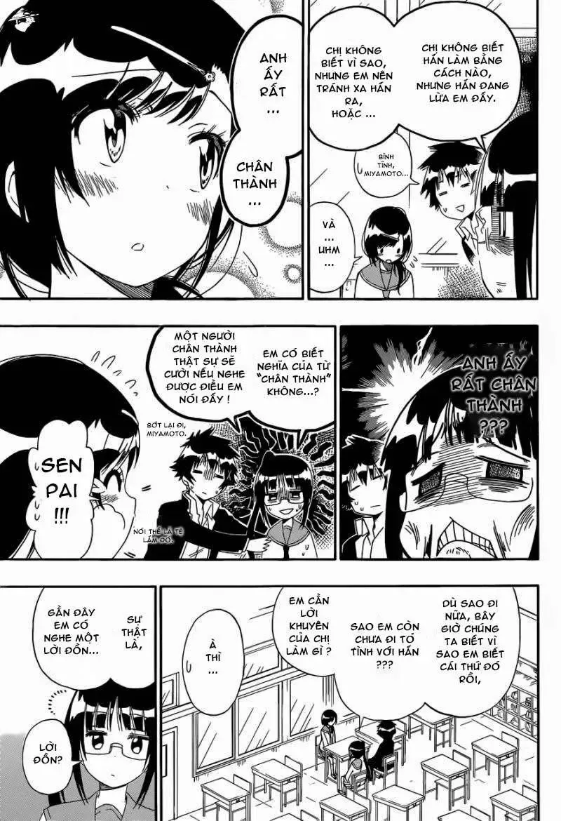 Nisekoi Chapter 141 - Trang 8
