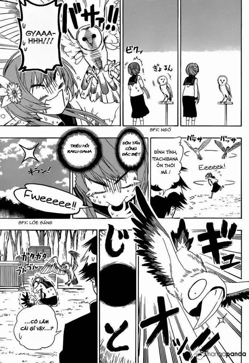 Nisekoi Chapter 142 - Trang 10