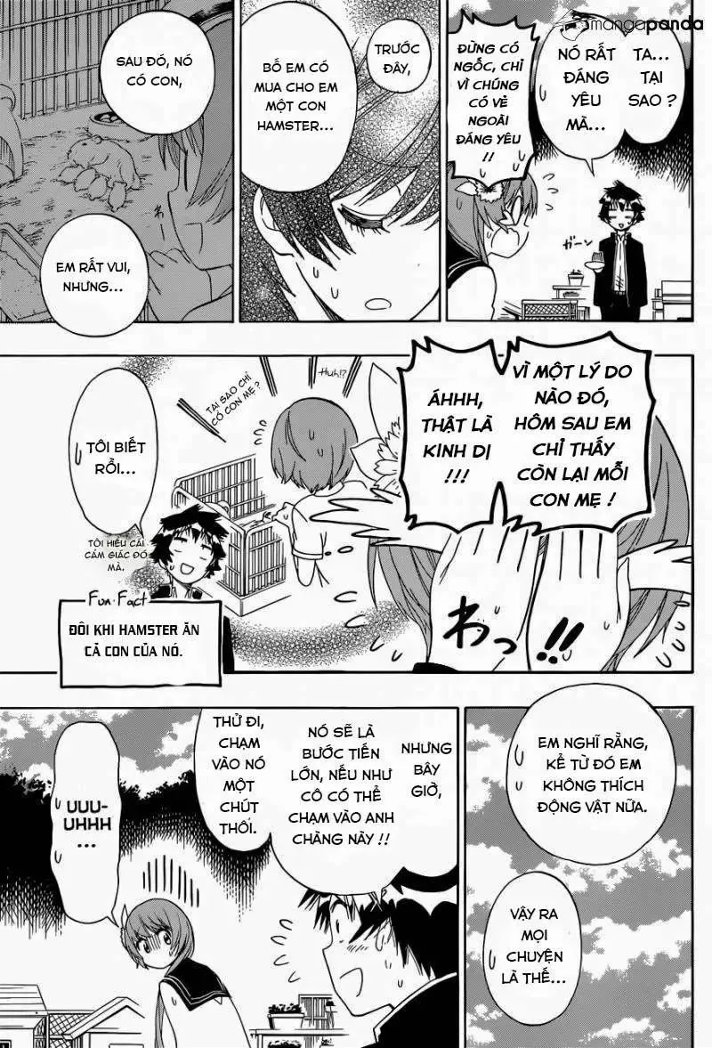 Nisekoi Chapter 142 - Trang 16