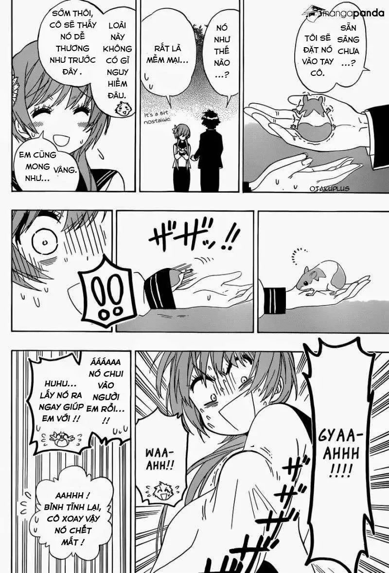 Nisekoi Chapter 142 - Trang 17
