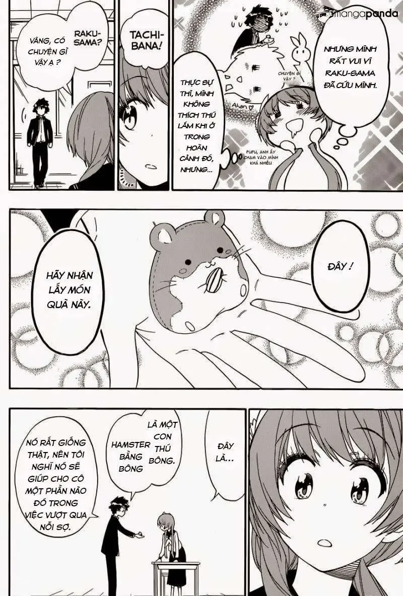 Nisekoi Chapter 142 - Trang 19
