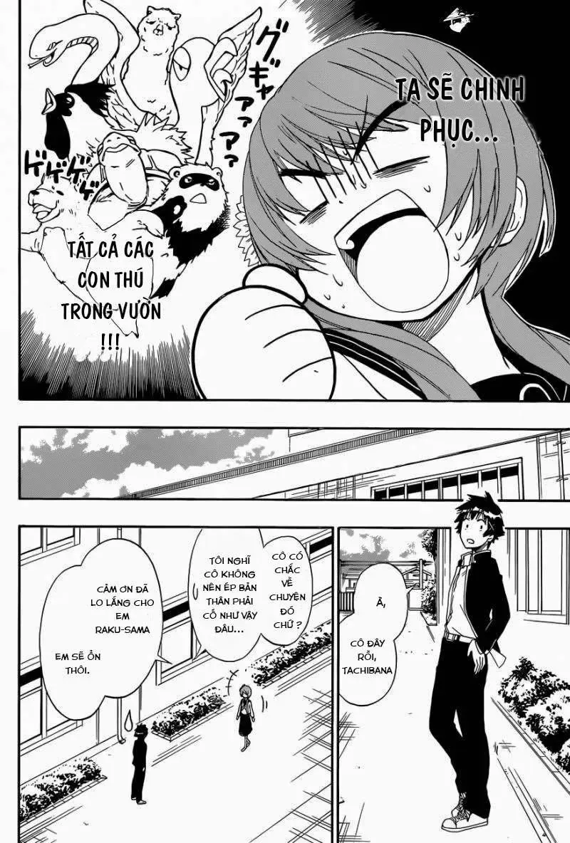 Nisekoi Chapter 142 - Trang 3