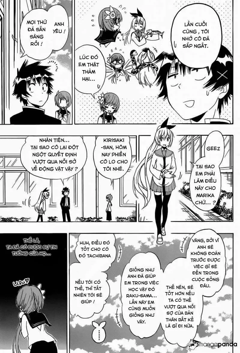 Nisekoi Chapter 142 - Trang 4
