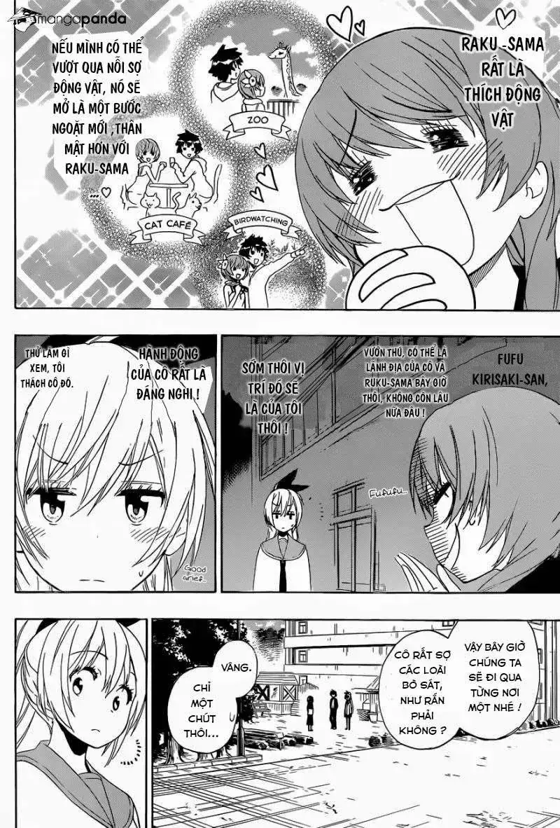 Nisekoi Chapter 142 - Trang 5