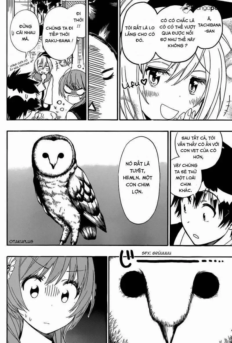 Nisekoi Chapter 142 - Trang 9