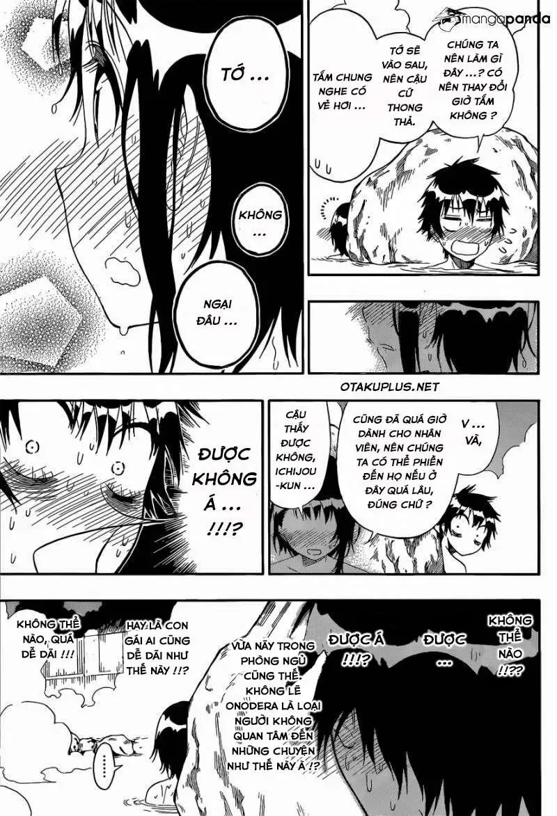 Nisekoi Chapter 144 - Trang 10