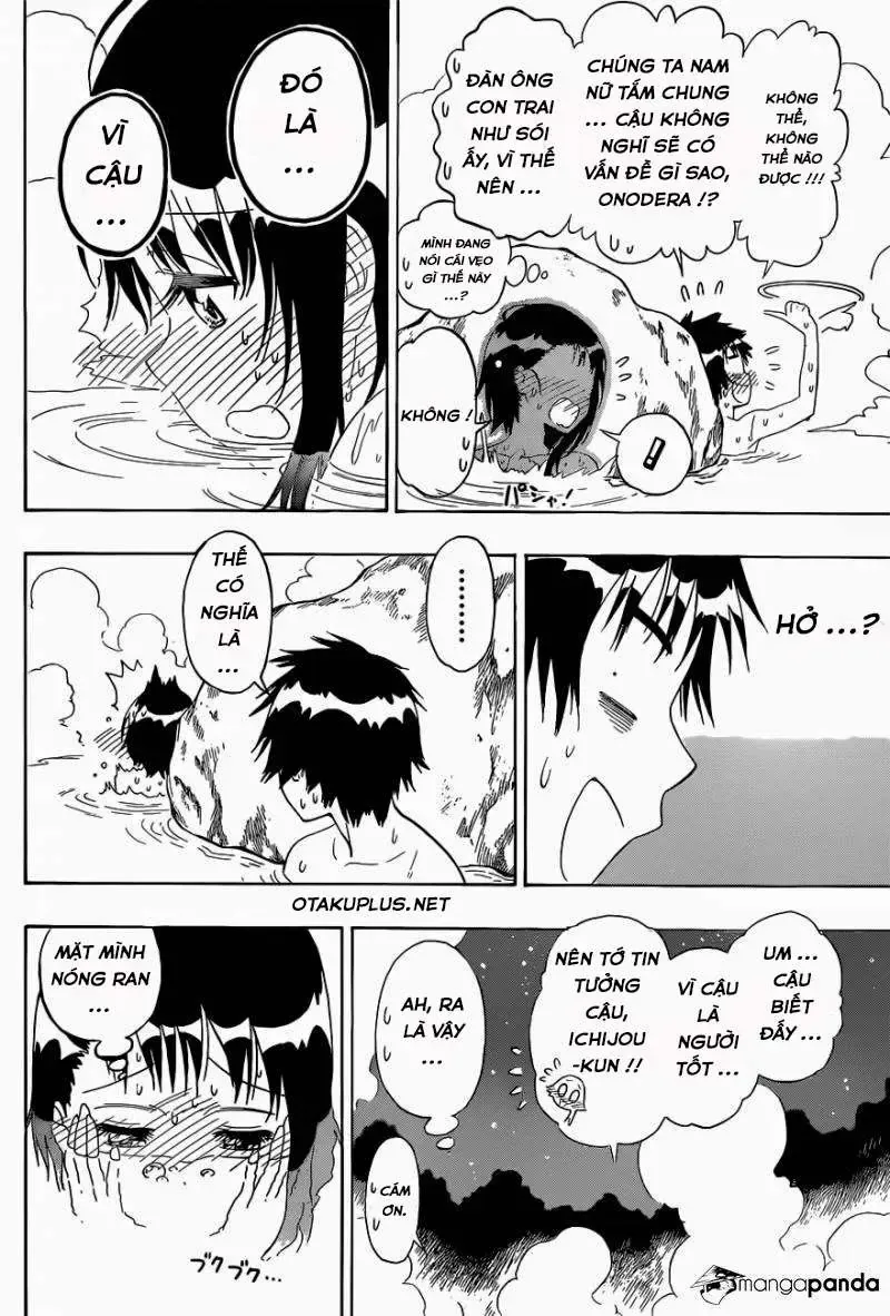 Nisekoi Chapter 144 - Trang 11