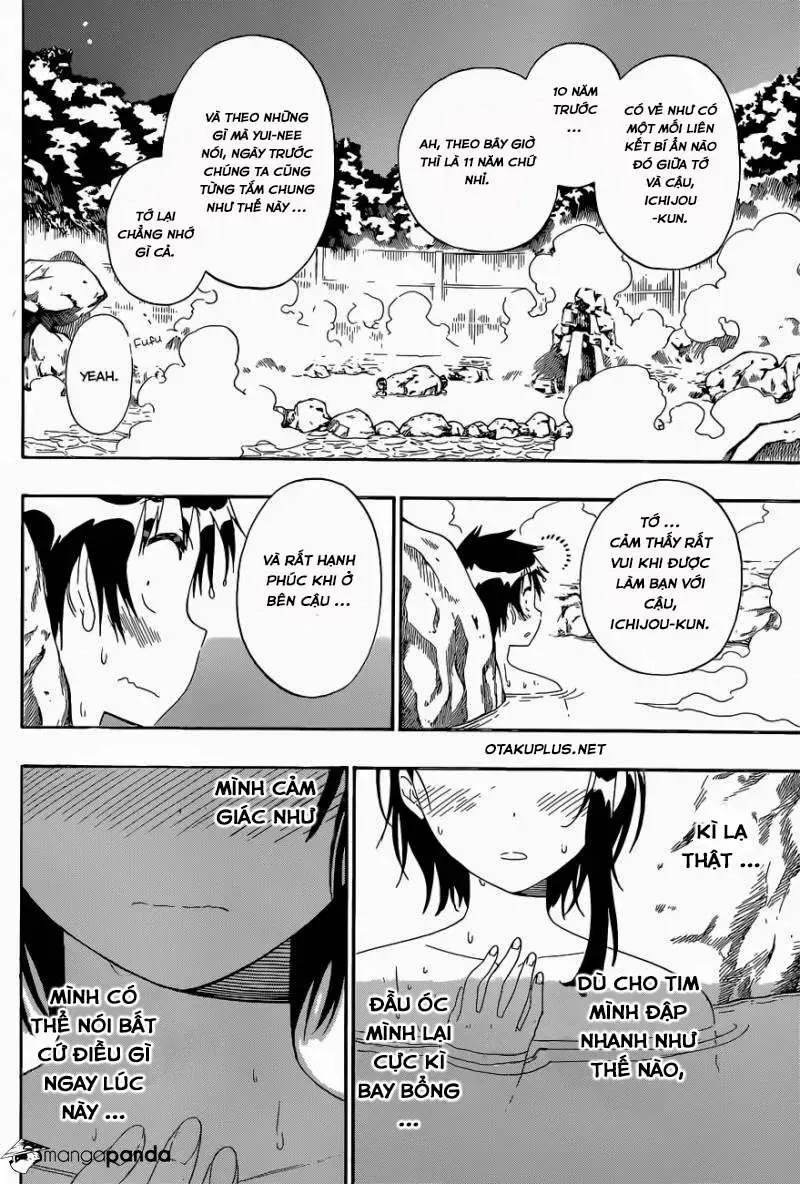 Nisekoi Chapter 144 - Trang 13