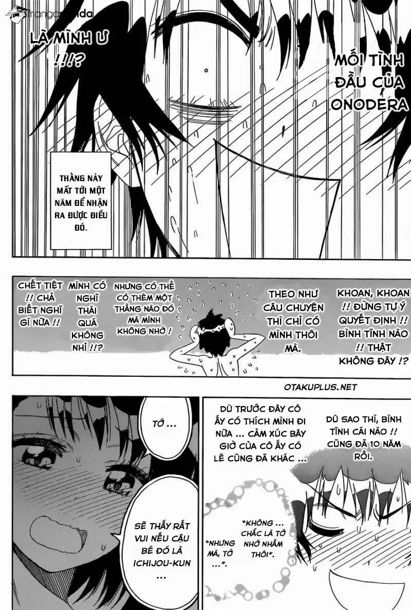 Nisekoi Chapter 144 - Trang 15