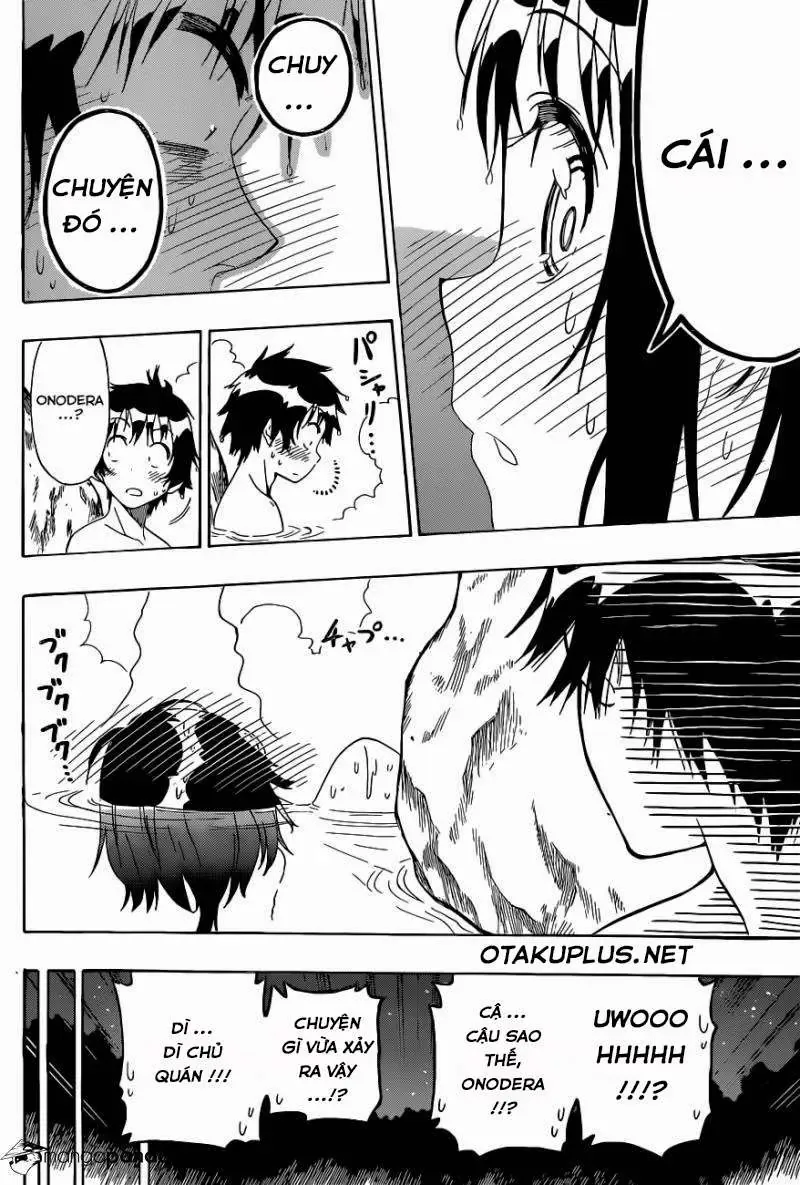 Nisekoi Chapter 144 - Trang 17