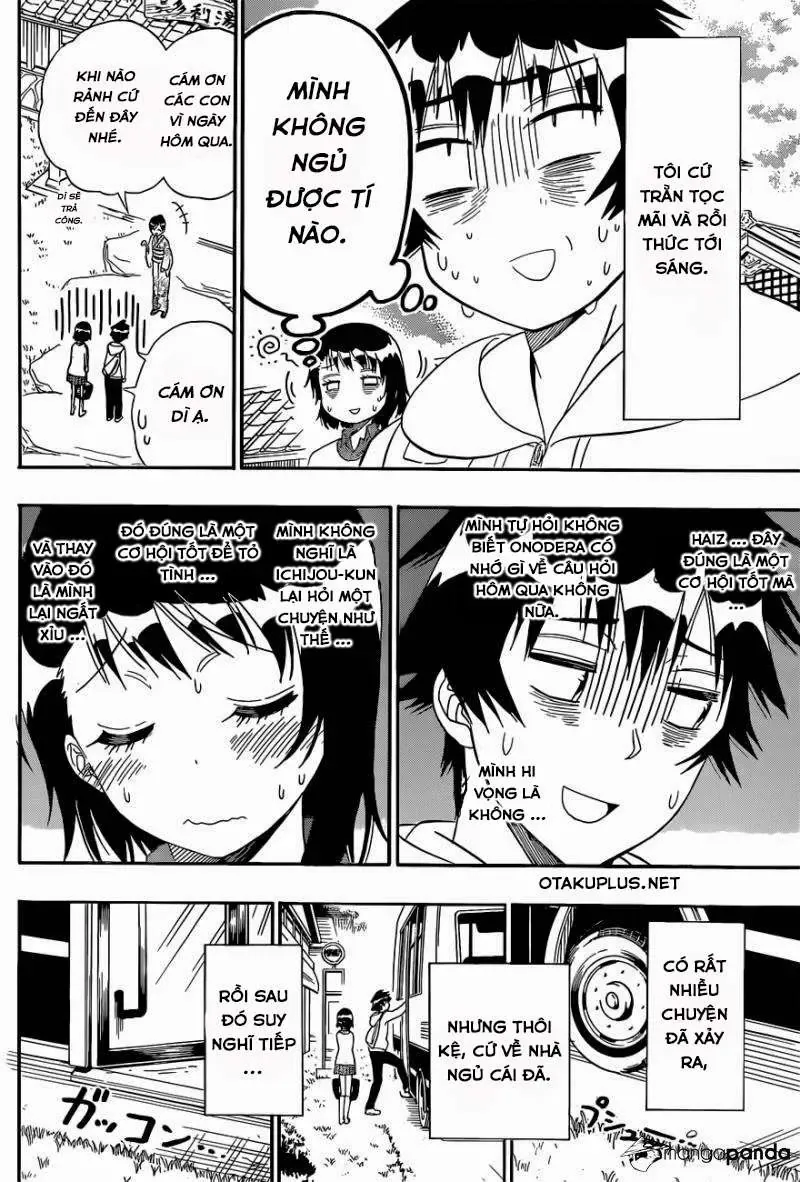 Nisekoi Chapter 144 - Trang 19