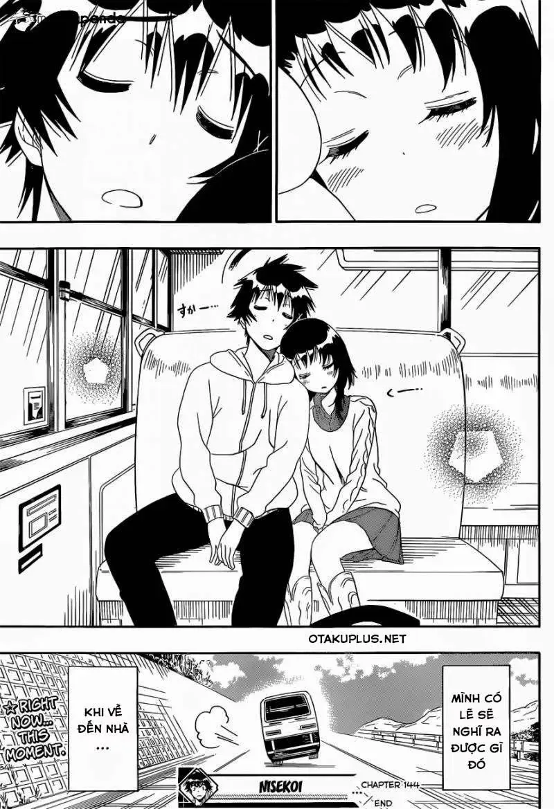 Nisekoi Chapter 144 - Trang 20