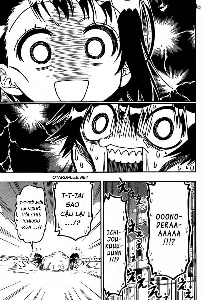 Nisekoi Chapter 144 - Trang 8