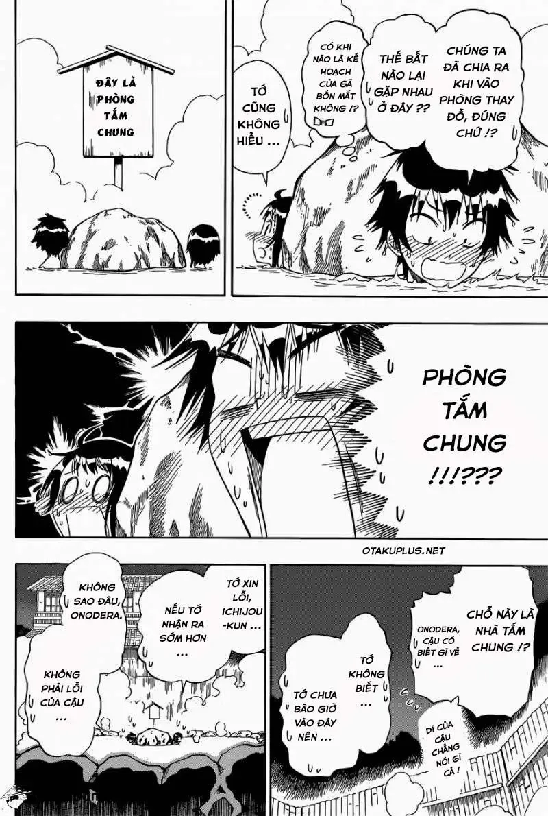 Nisekoi Chapter 144 - Trang 9
