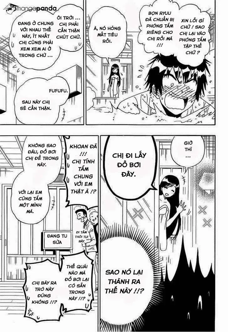 Nisekoi Chapter 146 - Trang 12