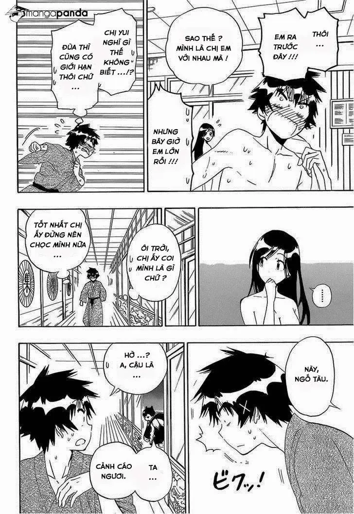 Nisekoi Chapter 146 - Trang 13
