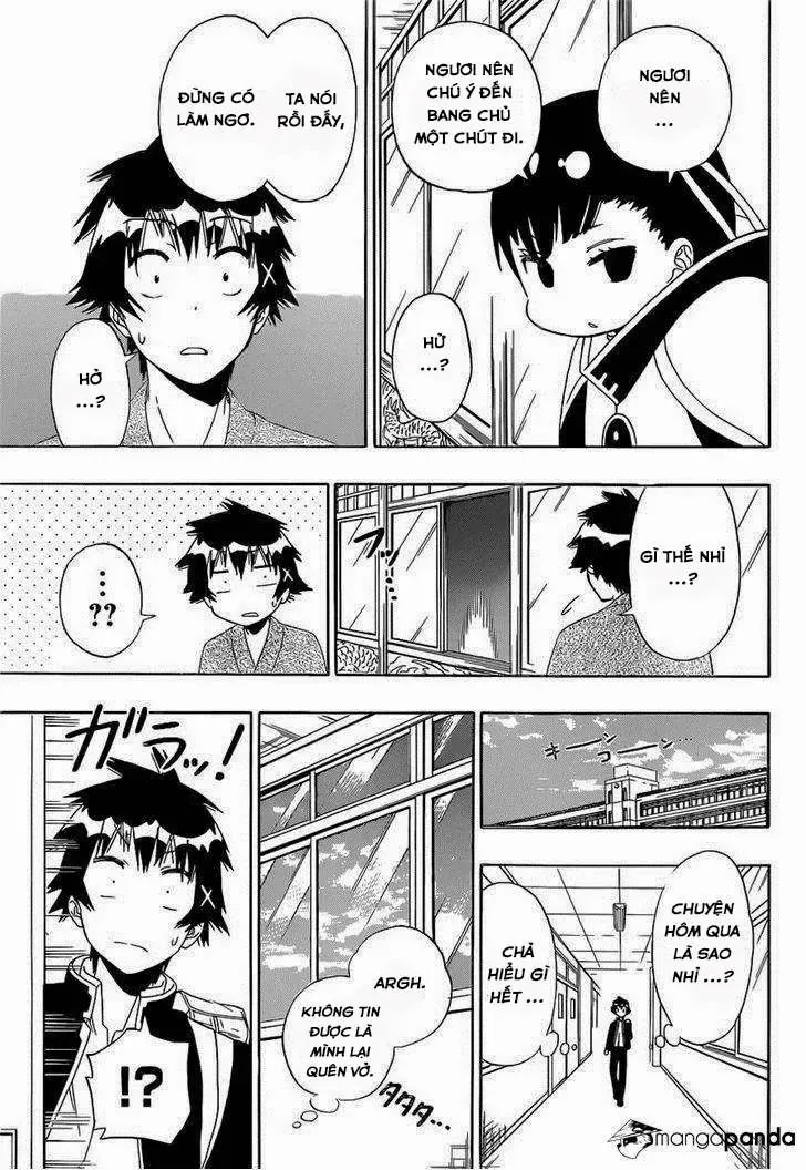 Nisekoi Chapter 146 - Trang 14