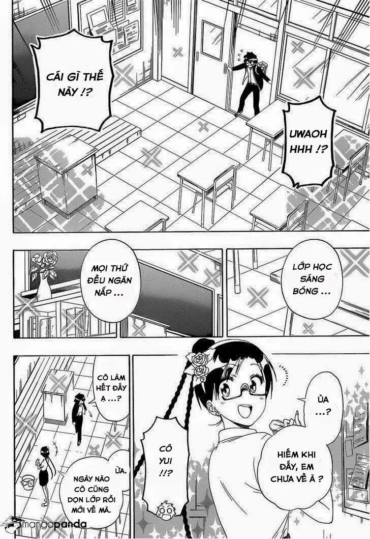 Nisekoi Chapter 146 - Trang 15