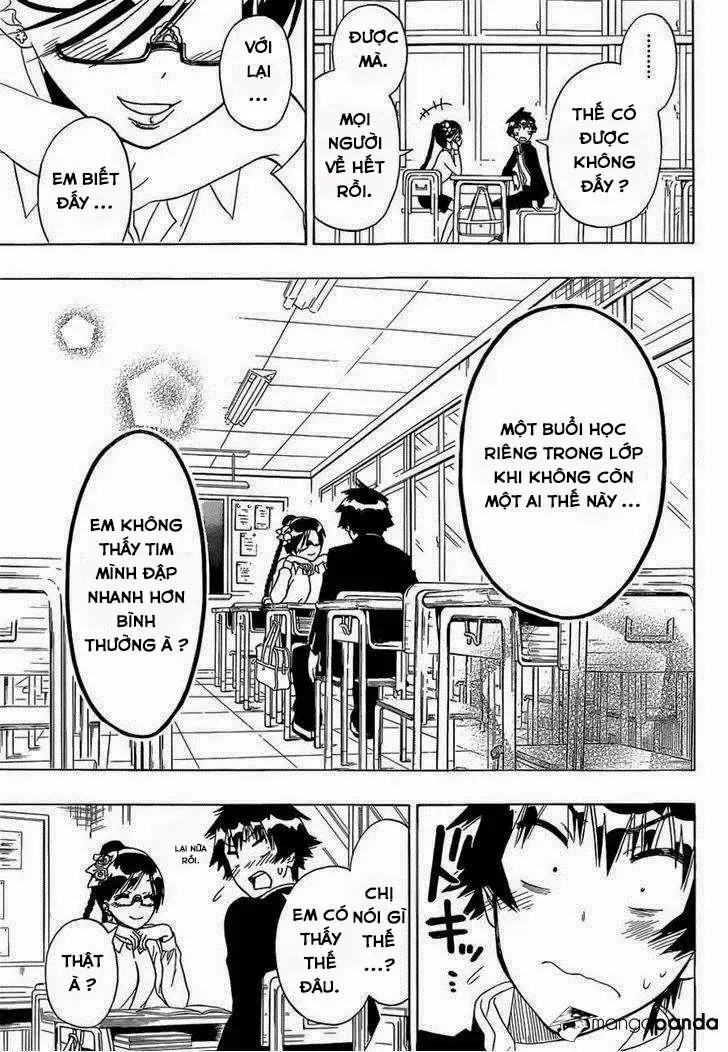 Nisekoi Chapter 146 - Trang 18