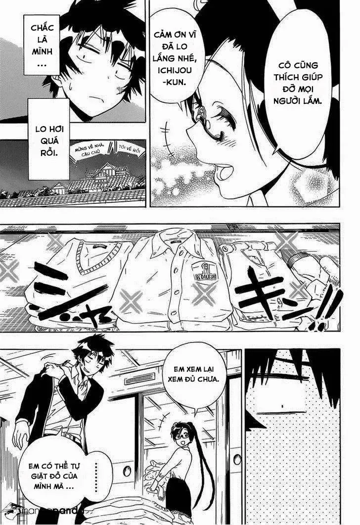 Nisekoi Chapter 146 - Trang 8