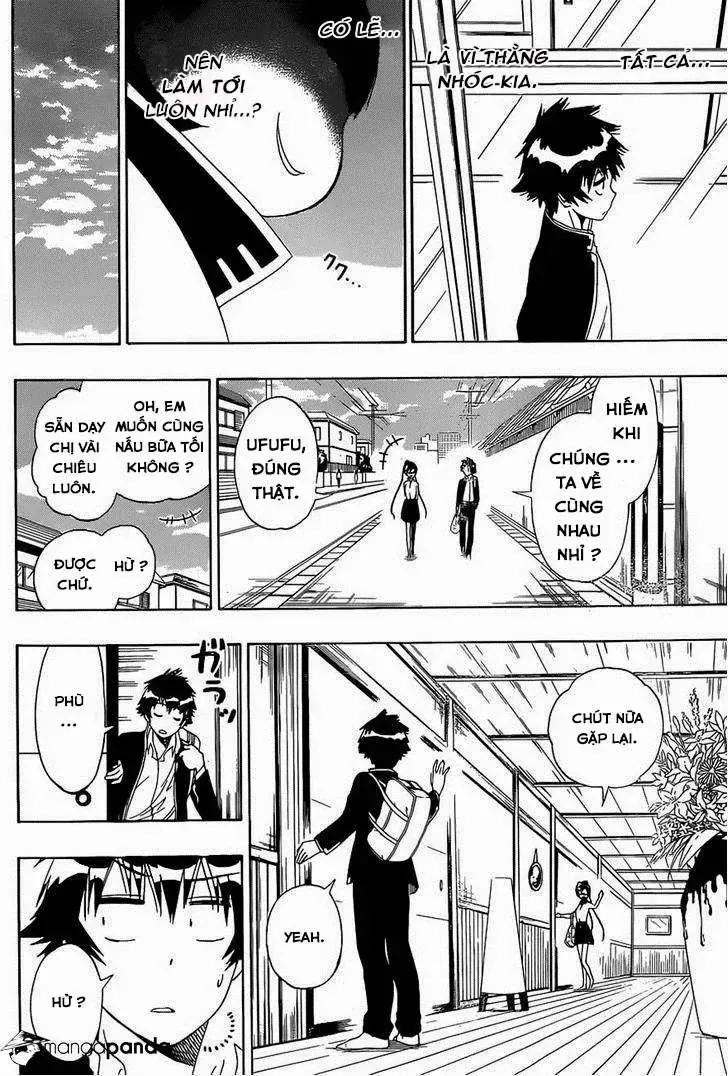 Nisekoi Chapter 148 - Trang 10