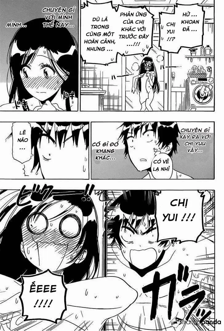 Nisekoi Chapter 148 - Trang 19