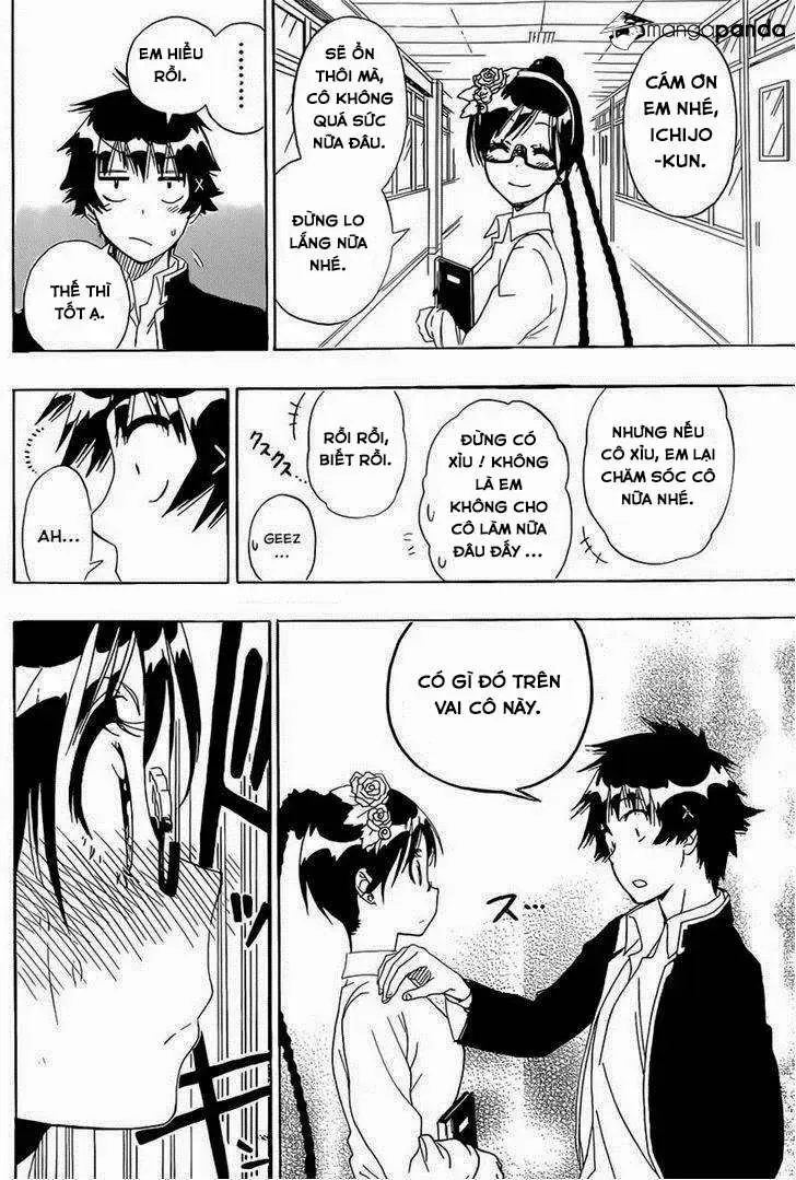 Nisekoi Chapter 148 - Trang 8