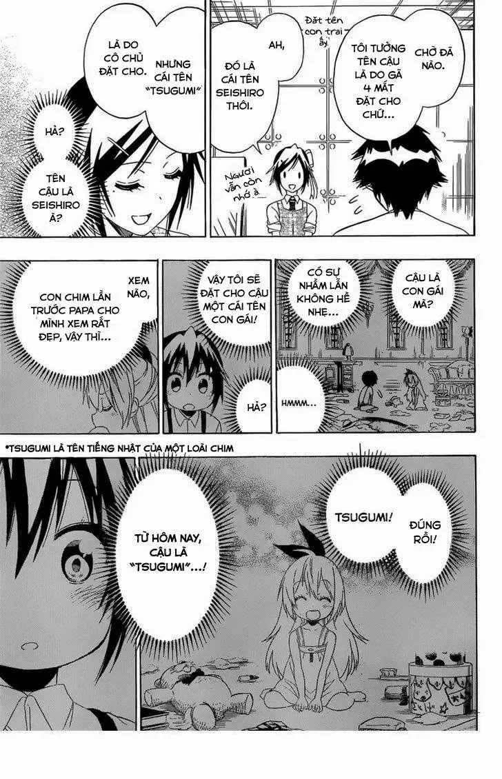 Nisekoi Chapter 149 - Trang 13