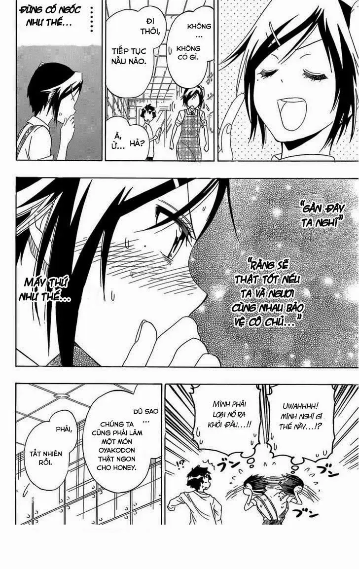 Nisekoi Chapter 149 - Trang 18