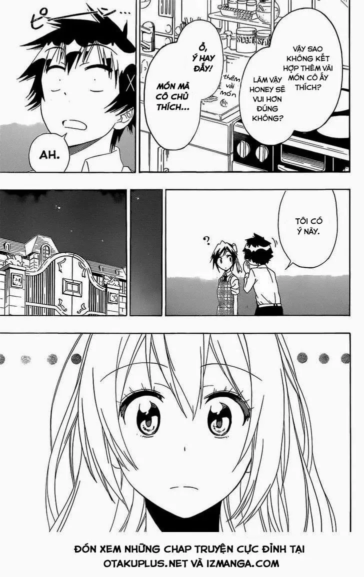 Nisekoi Chapter 149 - Trang 19
