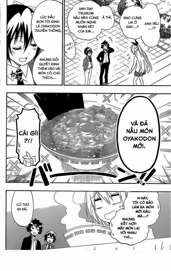 Nisekoi Chapter 149 - Trang 20