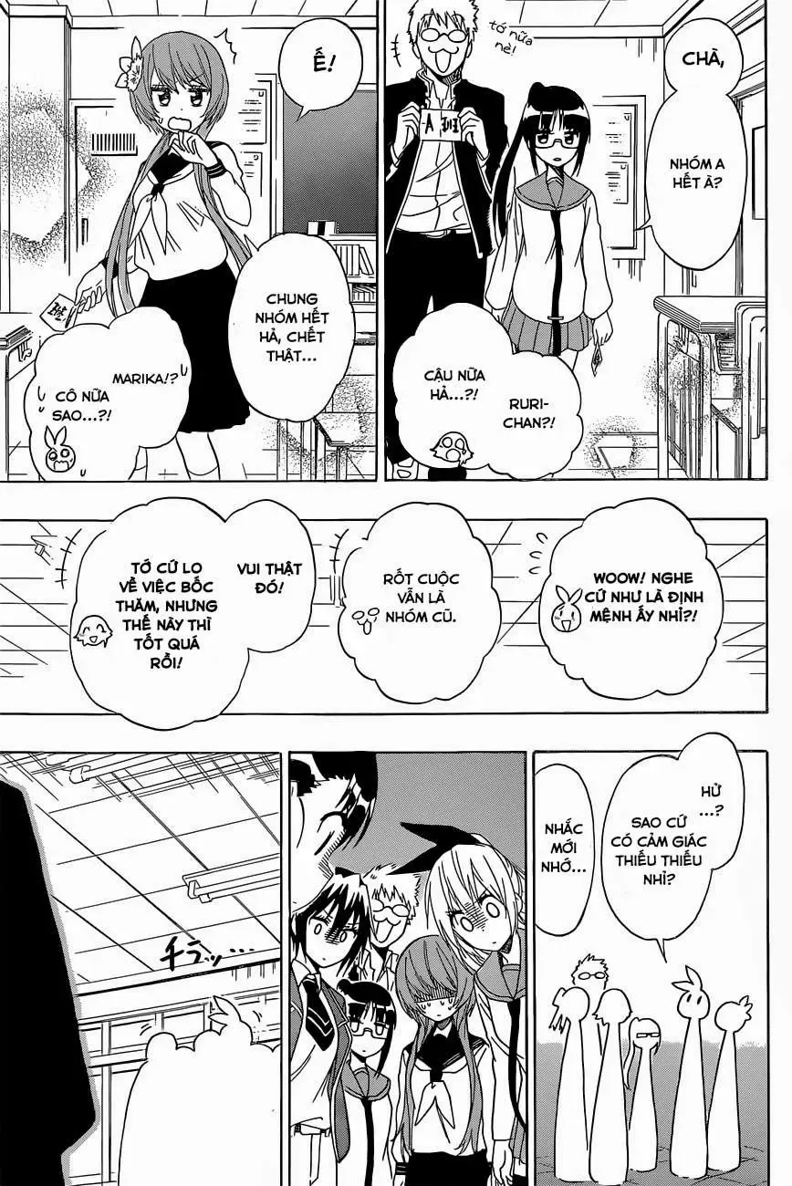 Nisekoi Chapter 150 - Trang 15