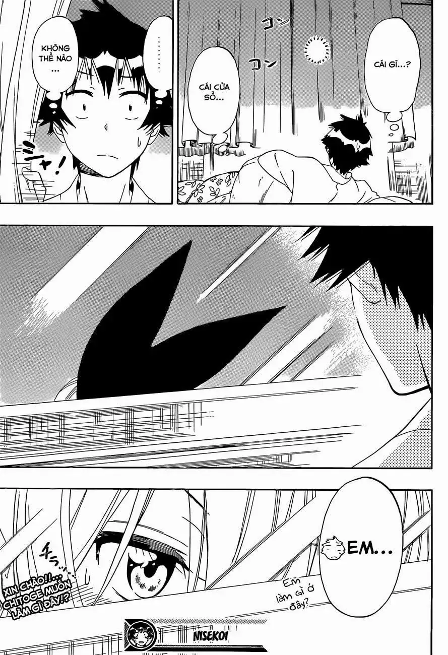 Nisekoi Chapter 151 - Trang 21