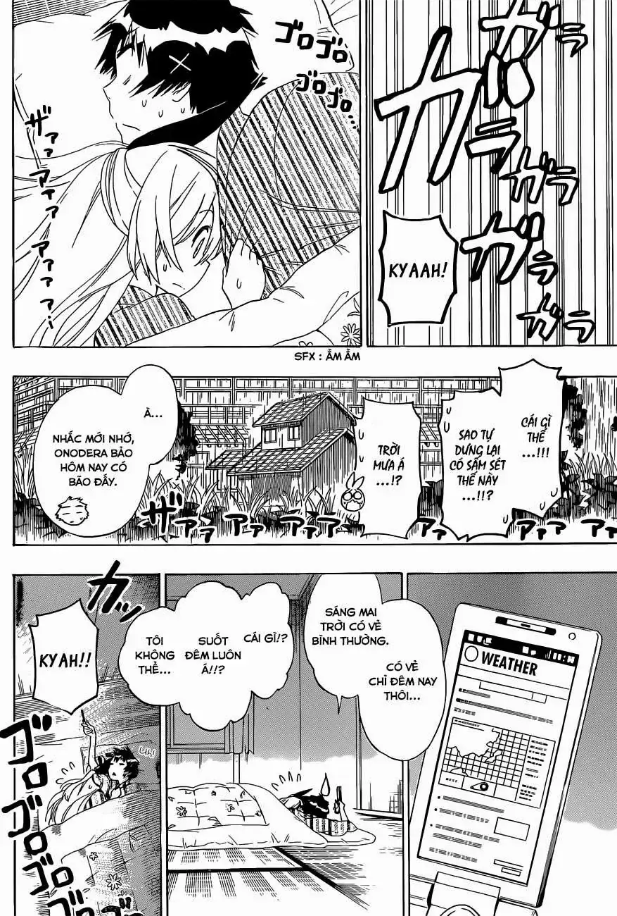 Nisekoi Chapter 152 - Trang 12
