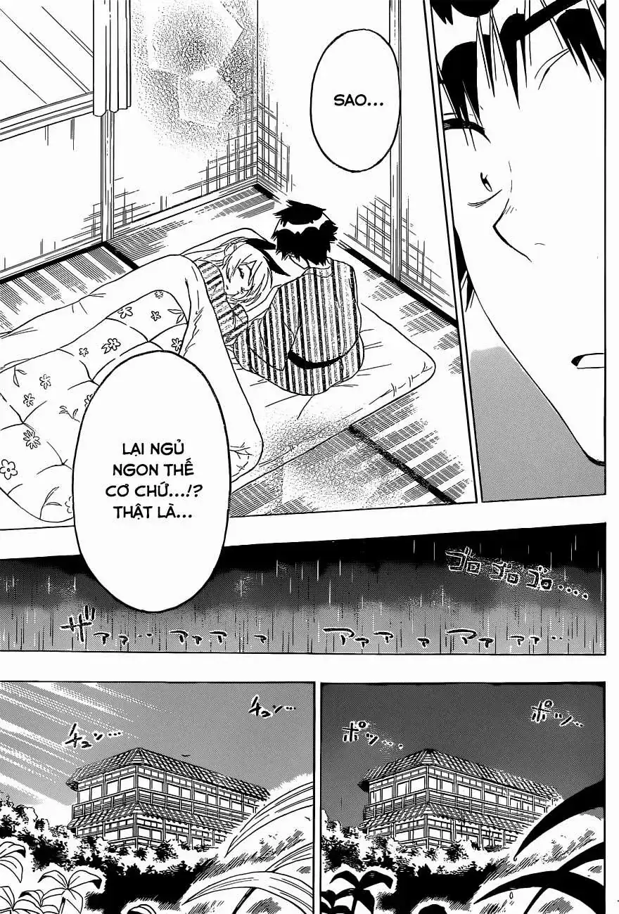 Nisekoi Chapter 152 - Trang 15