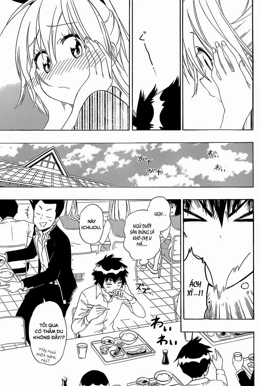 Nisekoi Chapter 152 - Trang 17